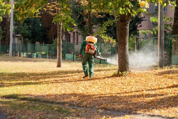 Best Emergency Pest Control  in Georgetown, SC
