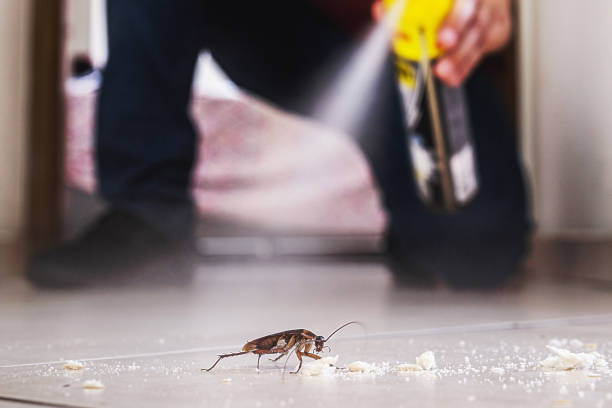 Best Pest Prevention Services  in Georgetown, SC